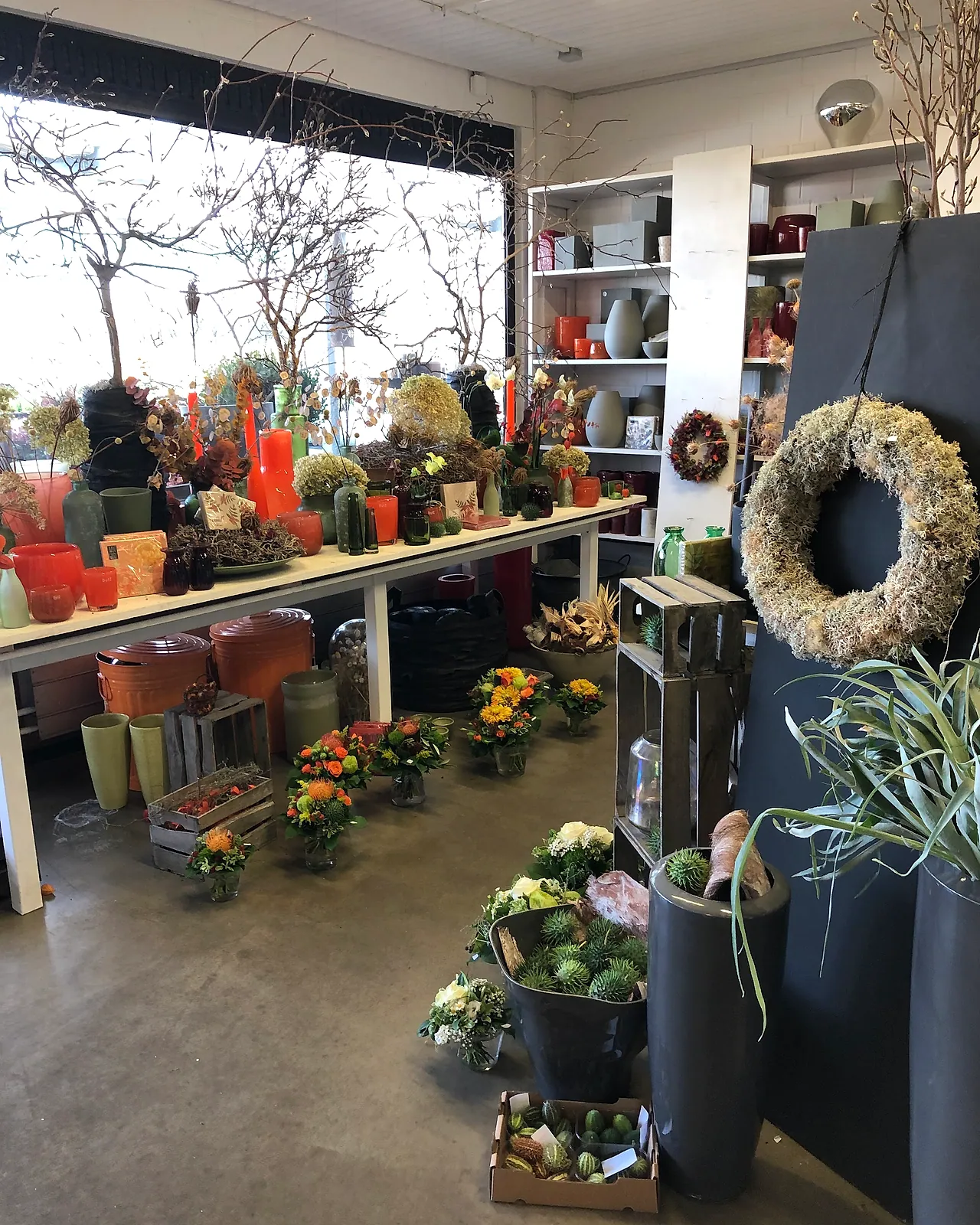 Blick in unseren Laden mit Pflanzen, Vasen und herbstlicher Dekoration